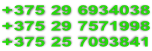 +375 29 6934038 +375 29 7571998 +375 25 7093841